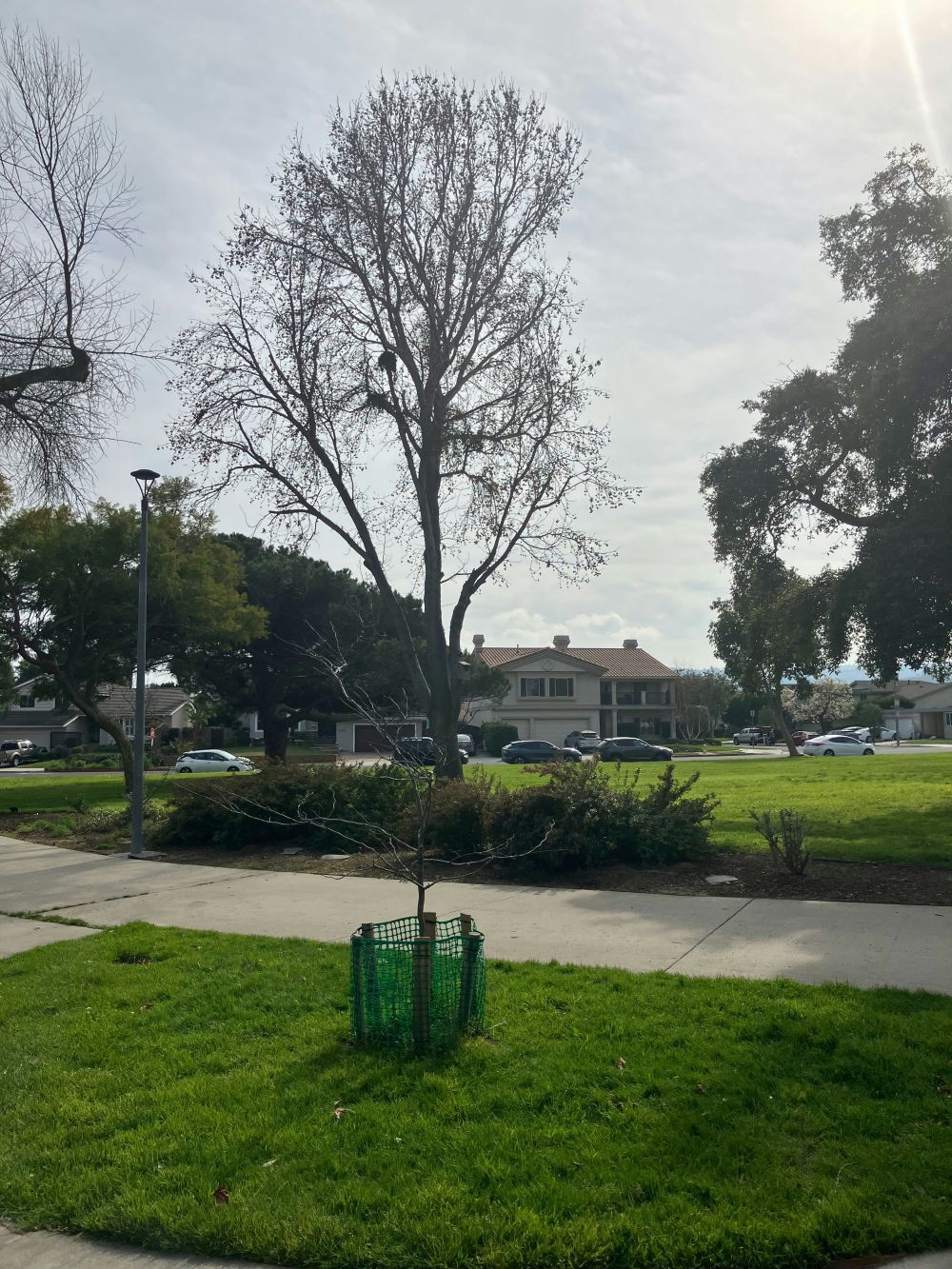 Hagekant som ramme rundt hagen  funksjon, form og smarte løsninger