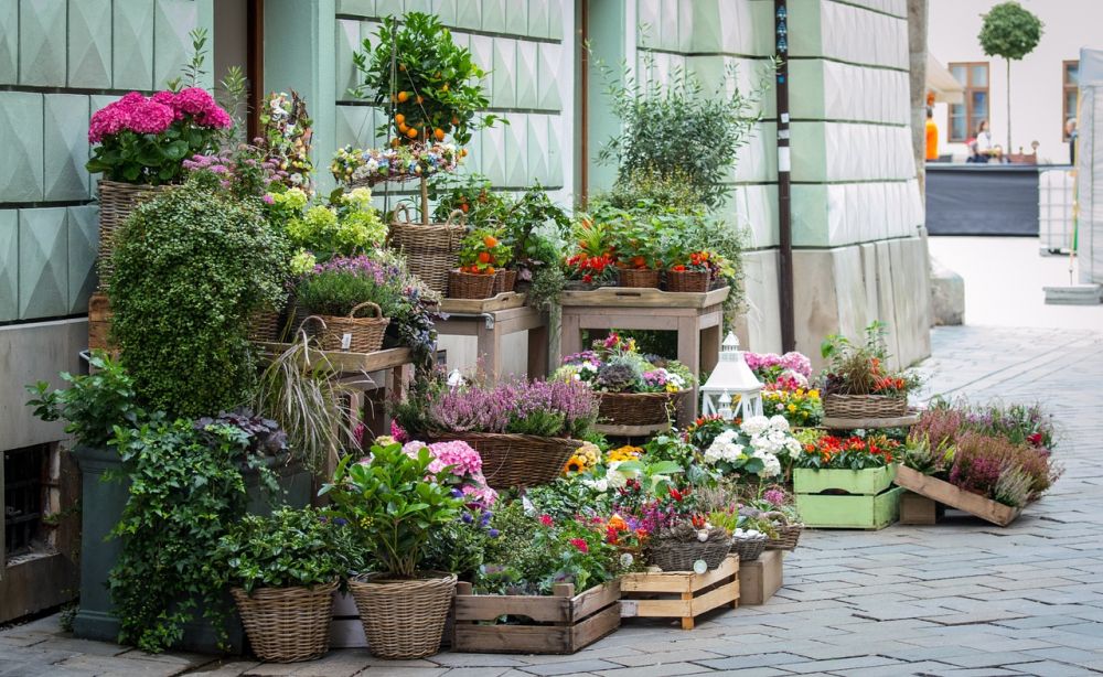 Blomsterbutikk i oslo  slik finner du den beste butikken for anledningen
